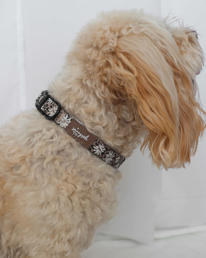 Collar - Leopard in Bloom