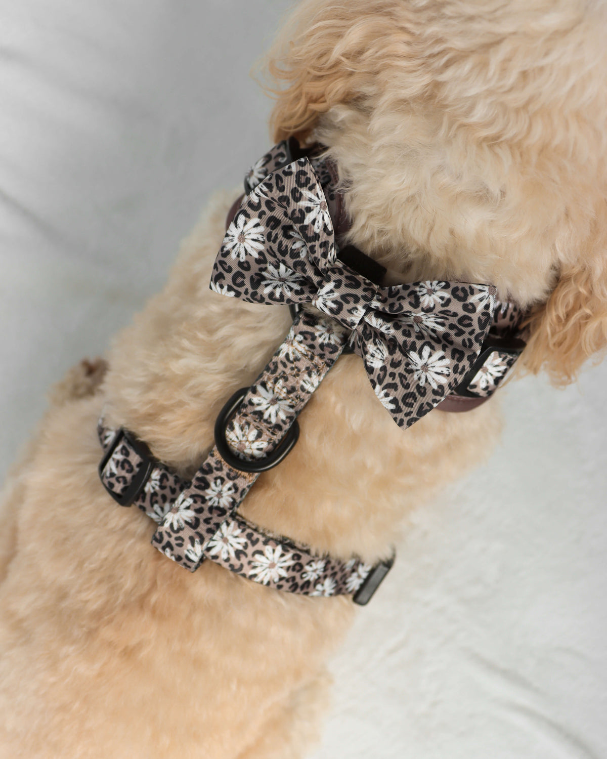Bow Tie - Leopard in Bloom