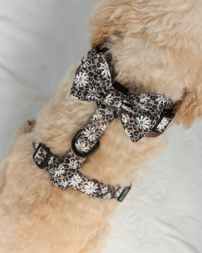 Bow Tie - Leopard in Bloom