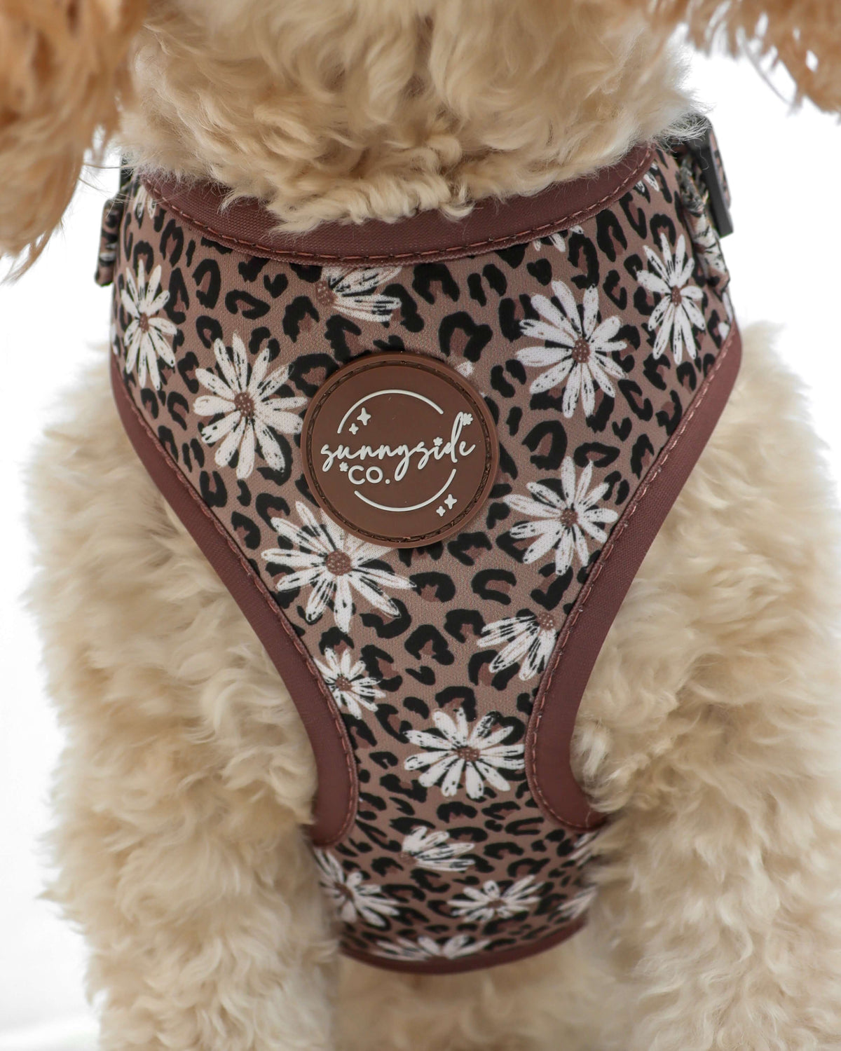 Adjustable Harness - Leopard in Bloom