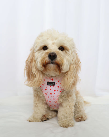 Adjustable Harness - Pretty in Pink