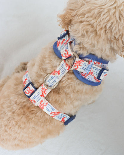 Adjustable Harness - Snappy Days