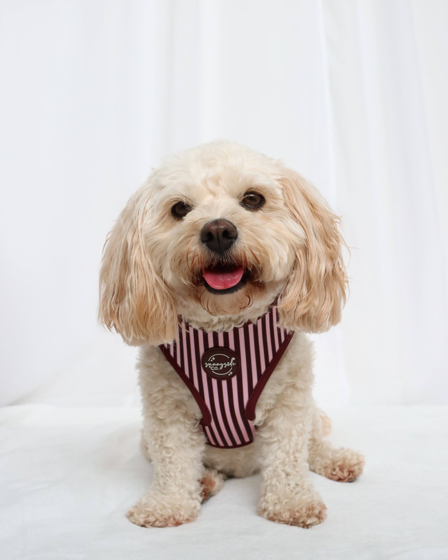 Adjustable Harness - Burgundy Stripes