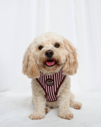 Adjustable Harness - Burgundy Stripes