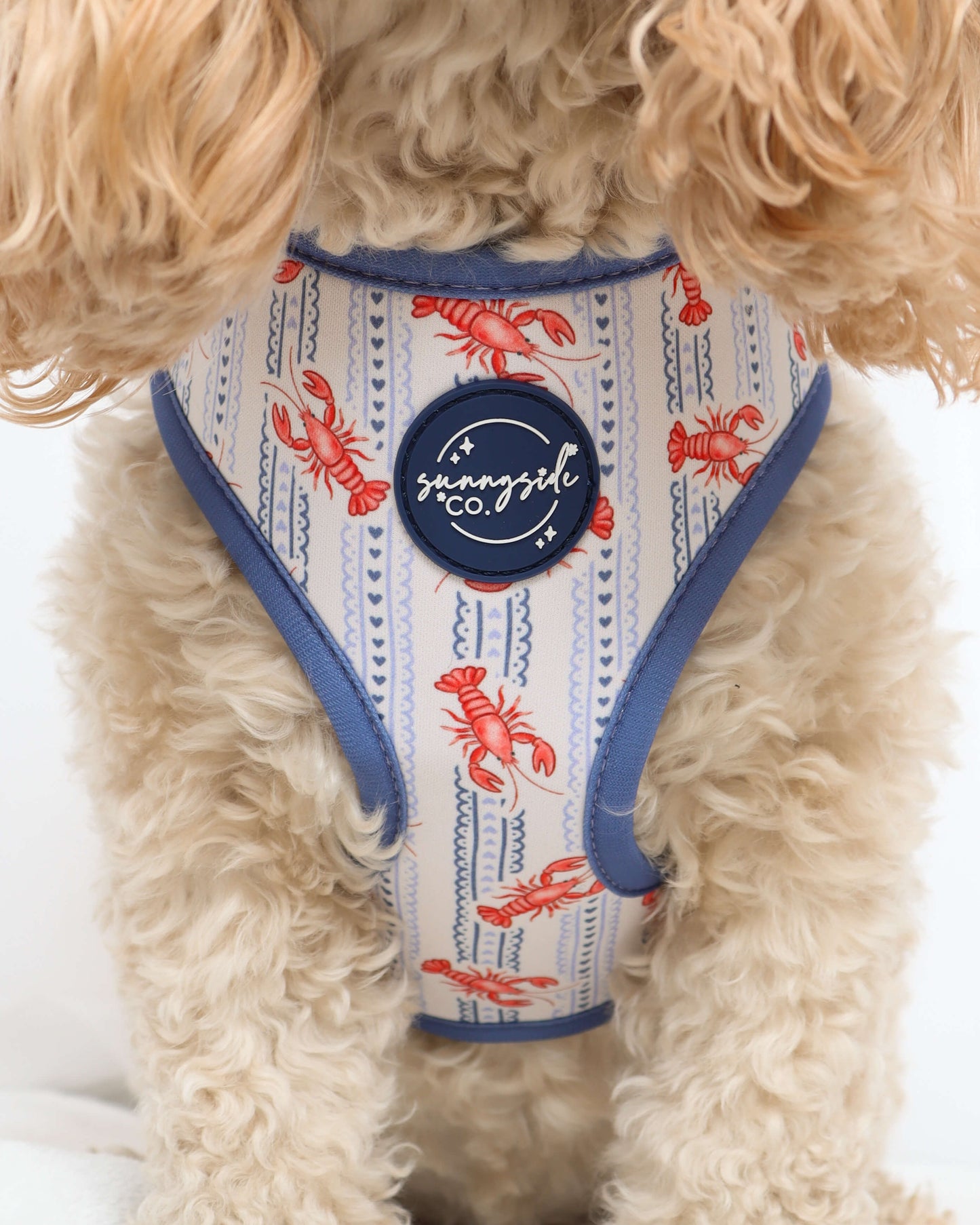 Adjustable Harness - Snappy Days