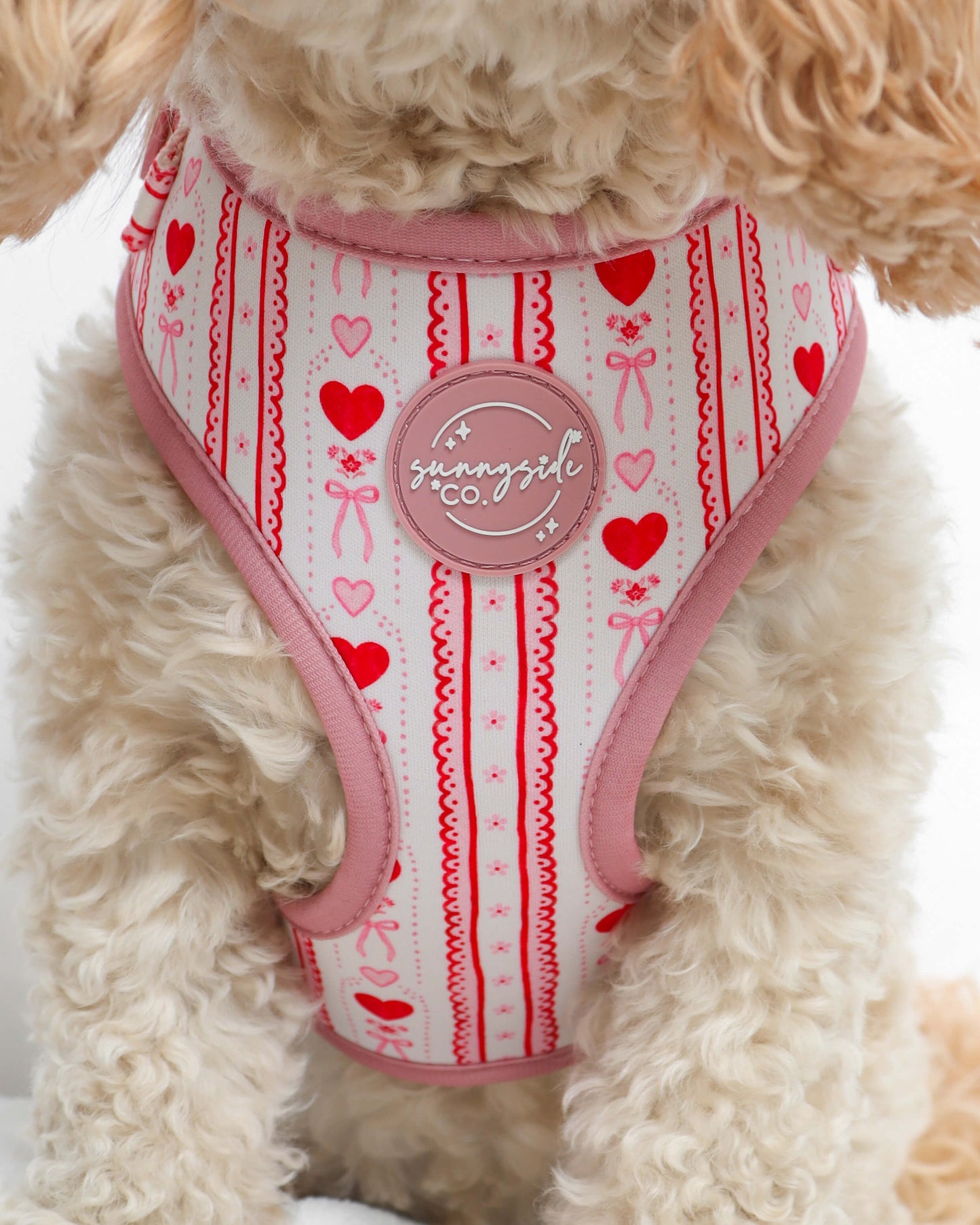 Adjustable Harness - Pretty Girl Avenue