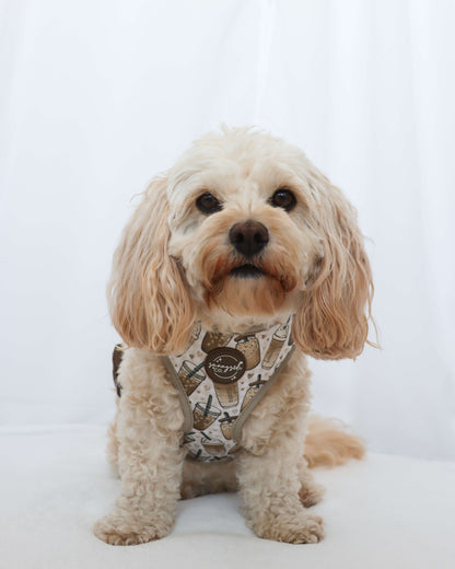 Adjustable Harness - Coffee Club