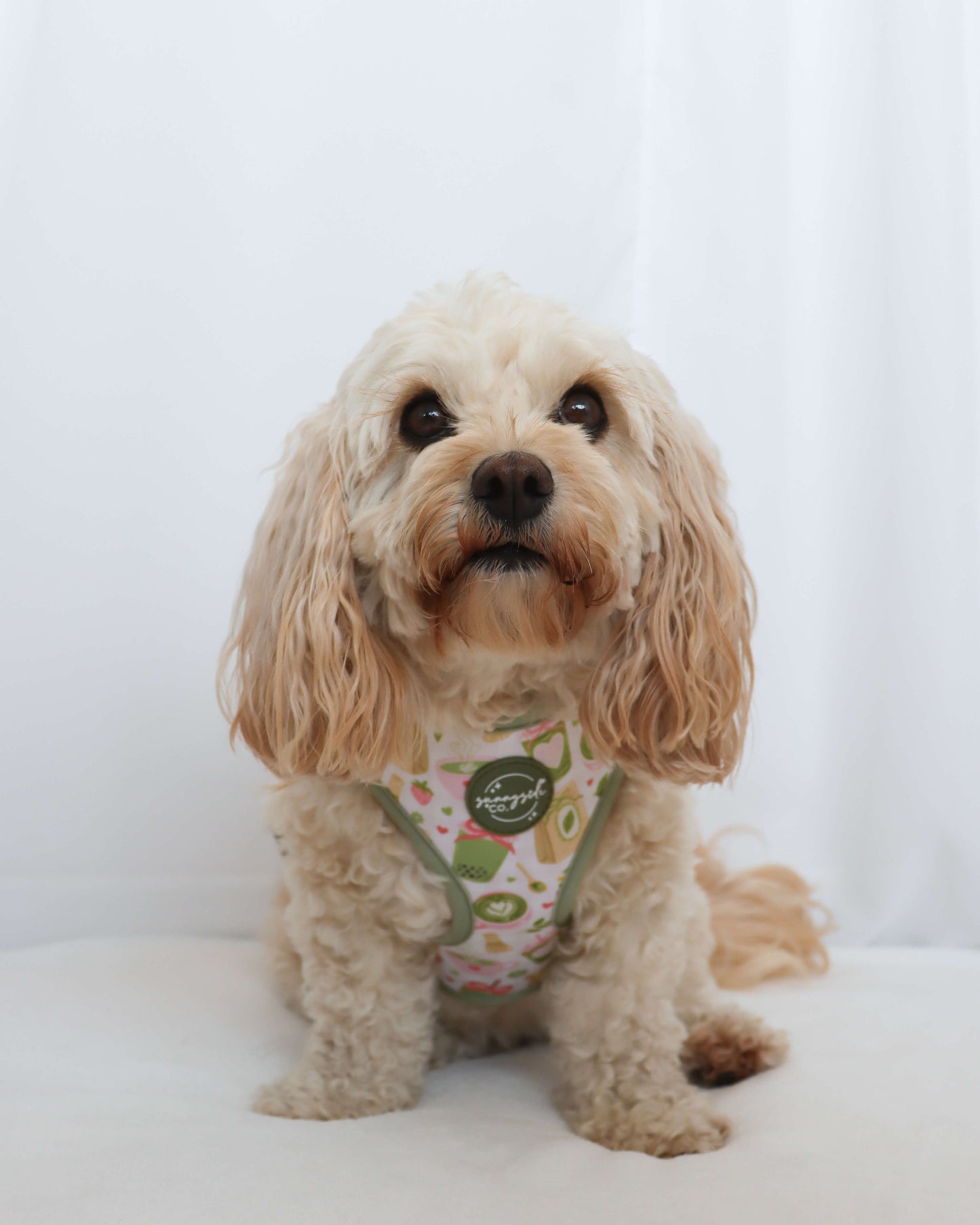 Adjustable Harness - Matcha Mood