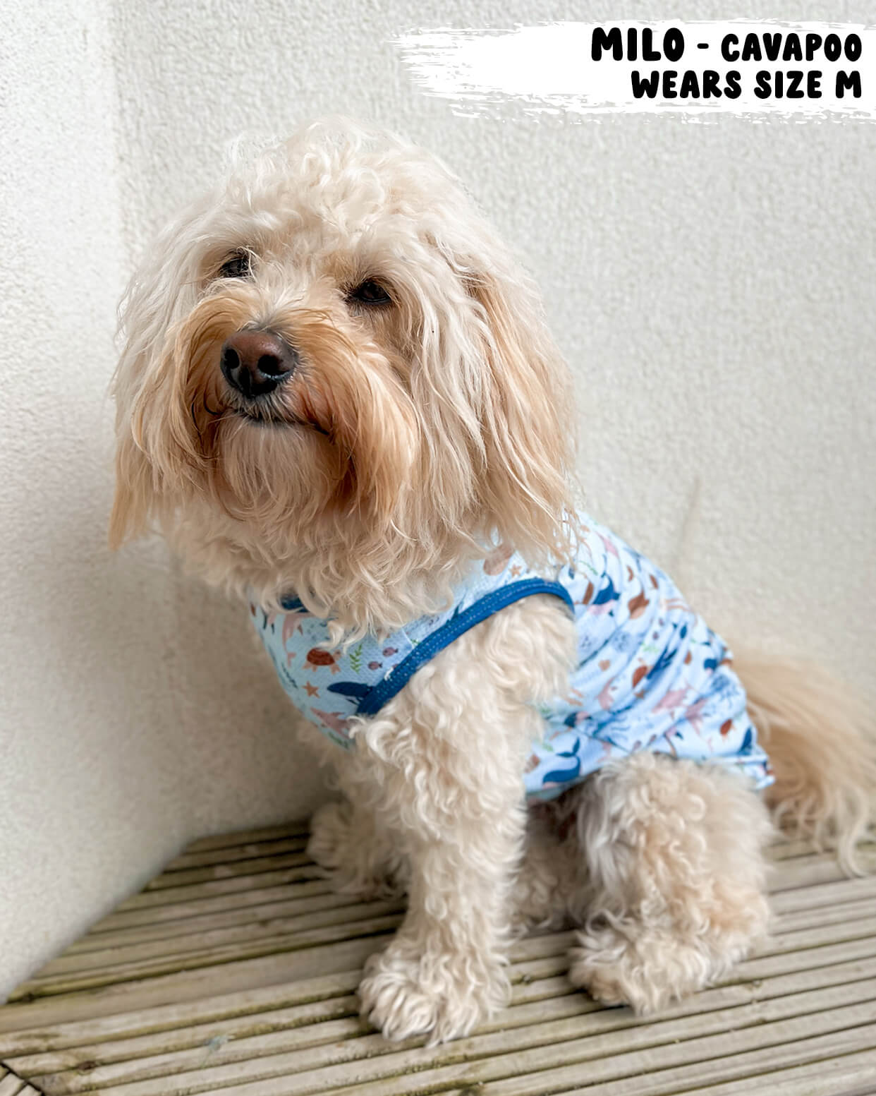 Dog Cooling Vest - Sea of Blue