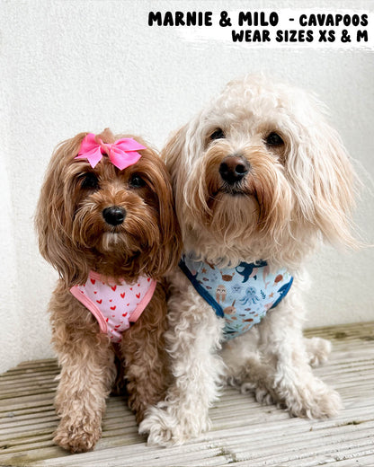 Dog Cooling Vest - Pretty in Pink