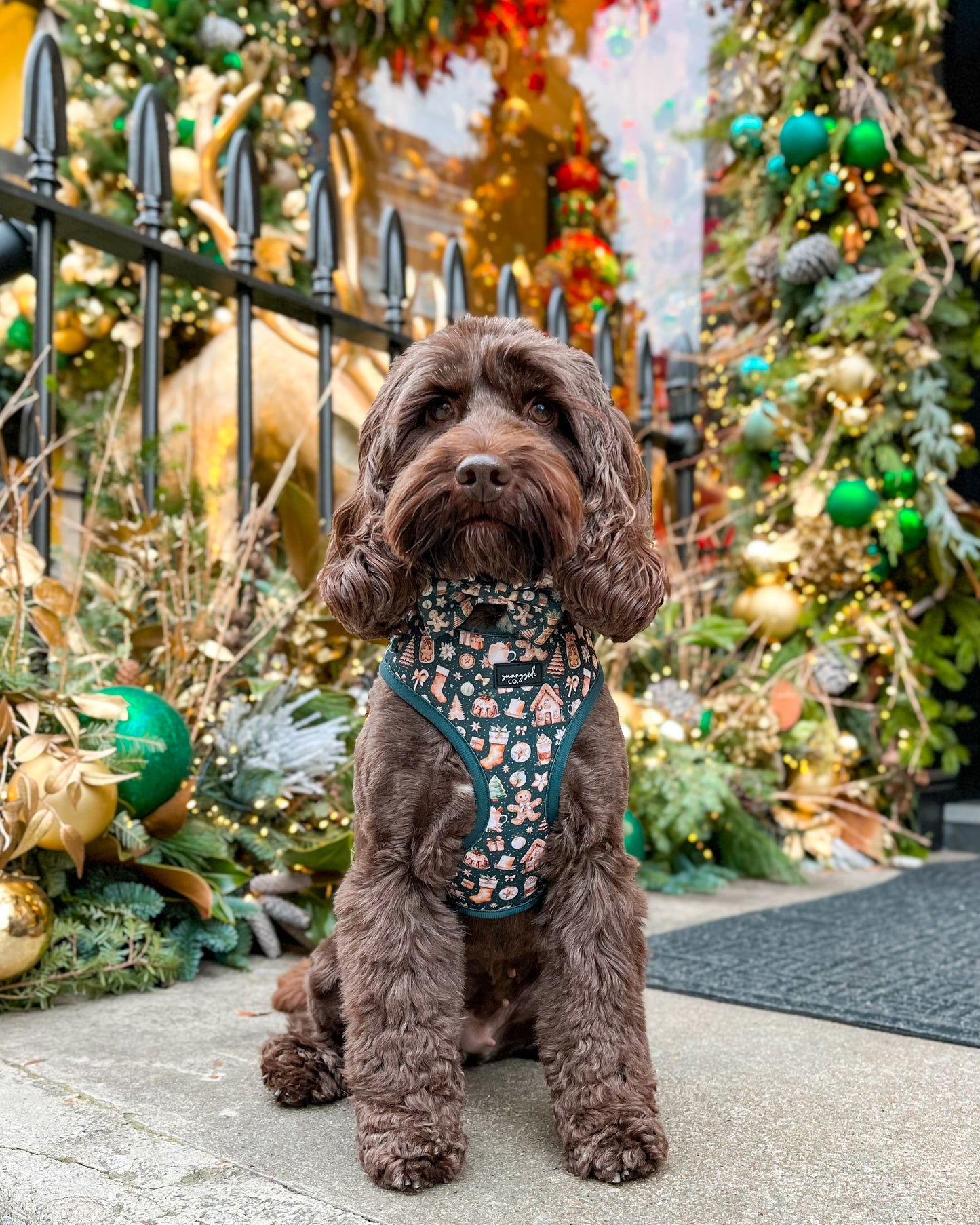 Adjustable Harness - Cosy Christmas