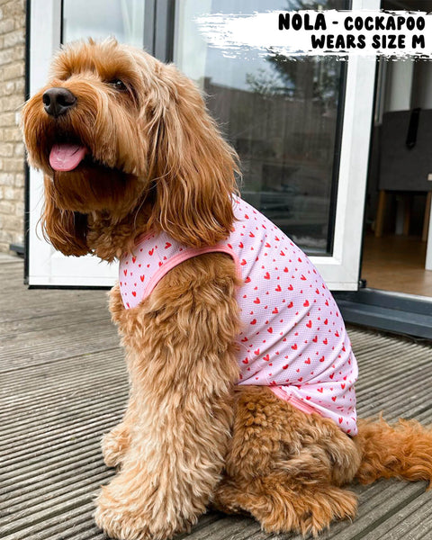 Dog Cooling Vest - Pretty in Pink