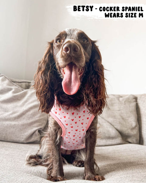 Dog Cooling Vest - Pretty in Pink