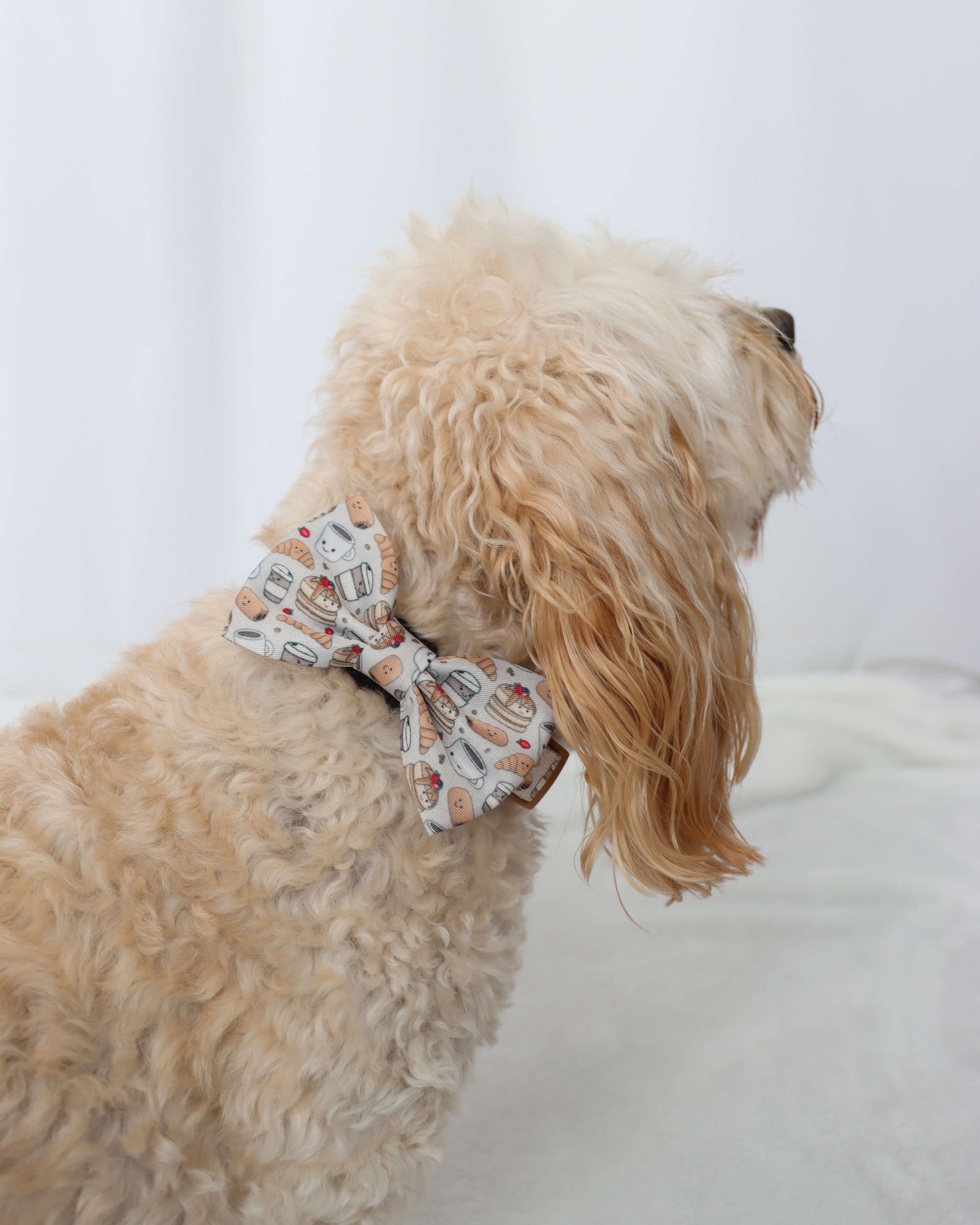 Bow Tie - Pawfee & Pastries