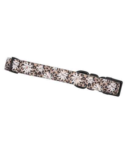 Collar - Leopard in Bloom