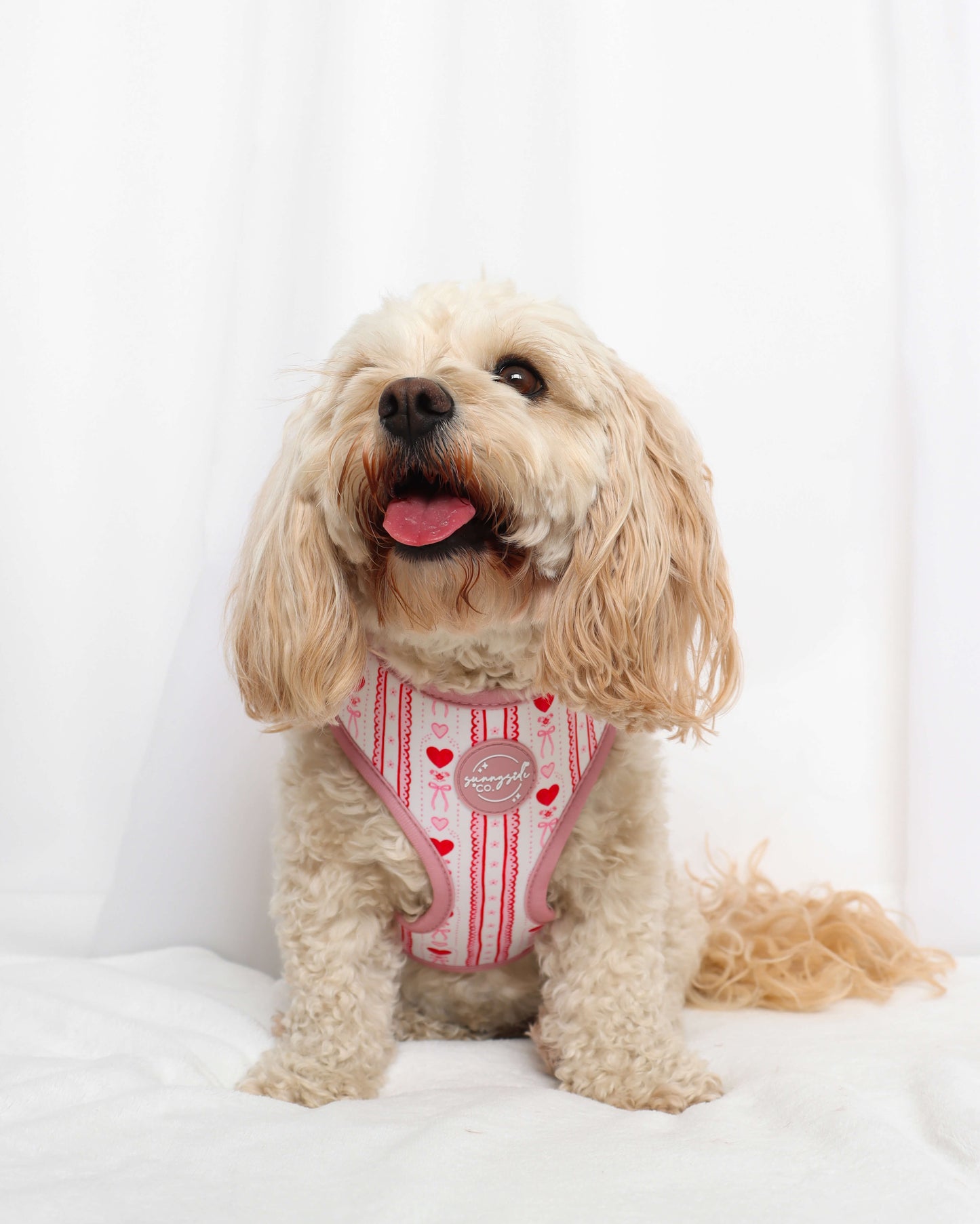 Adjustable Harness - Pretty Girl Avenue