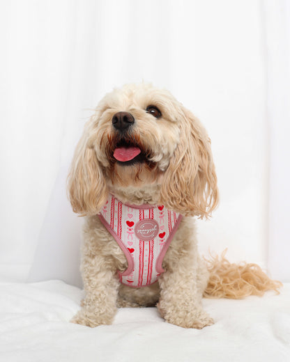 Adjustable Harness - Pretty Girl Avenue
