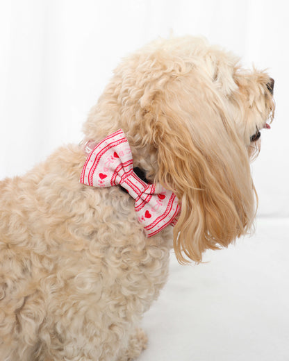 Bow Tie - Pretty Girl Avenue