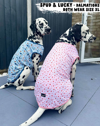 Dog Cooling Vest - Sea of Blue