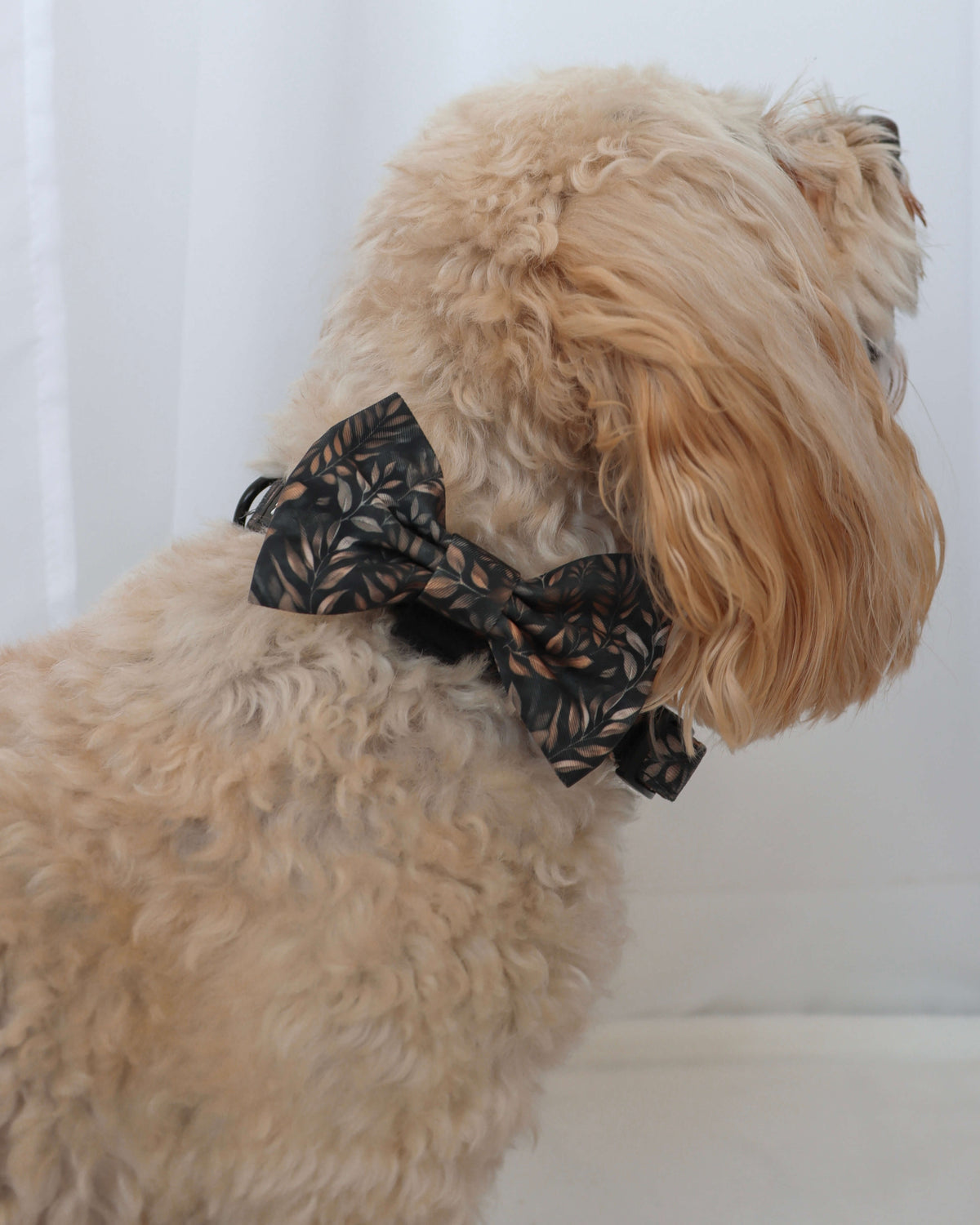 Bow Tie - Love at First Crunch