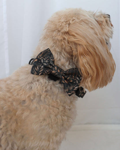 Bow Tie - Love at First Crunch