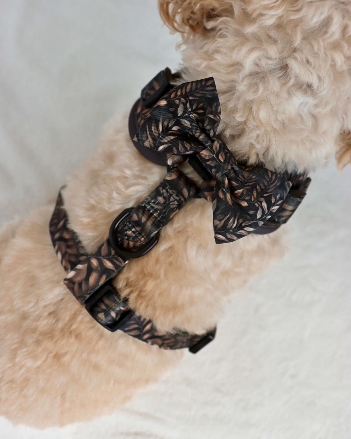 Bow Tie - Love at First Crunch