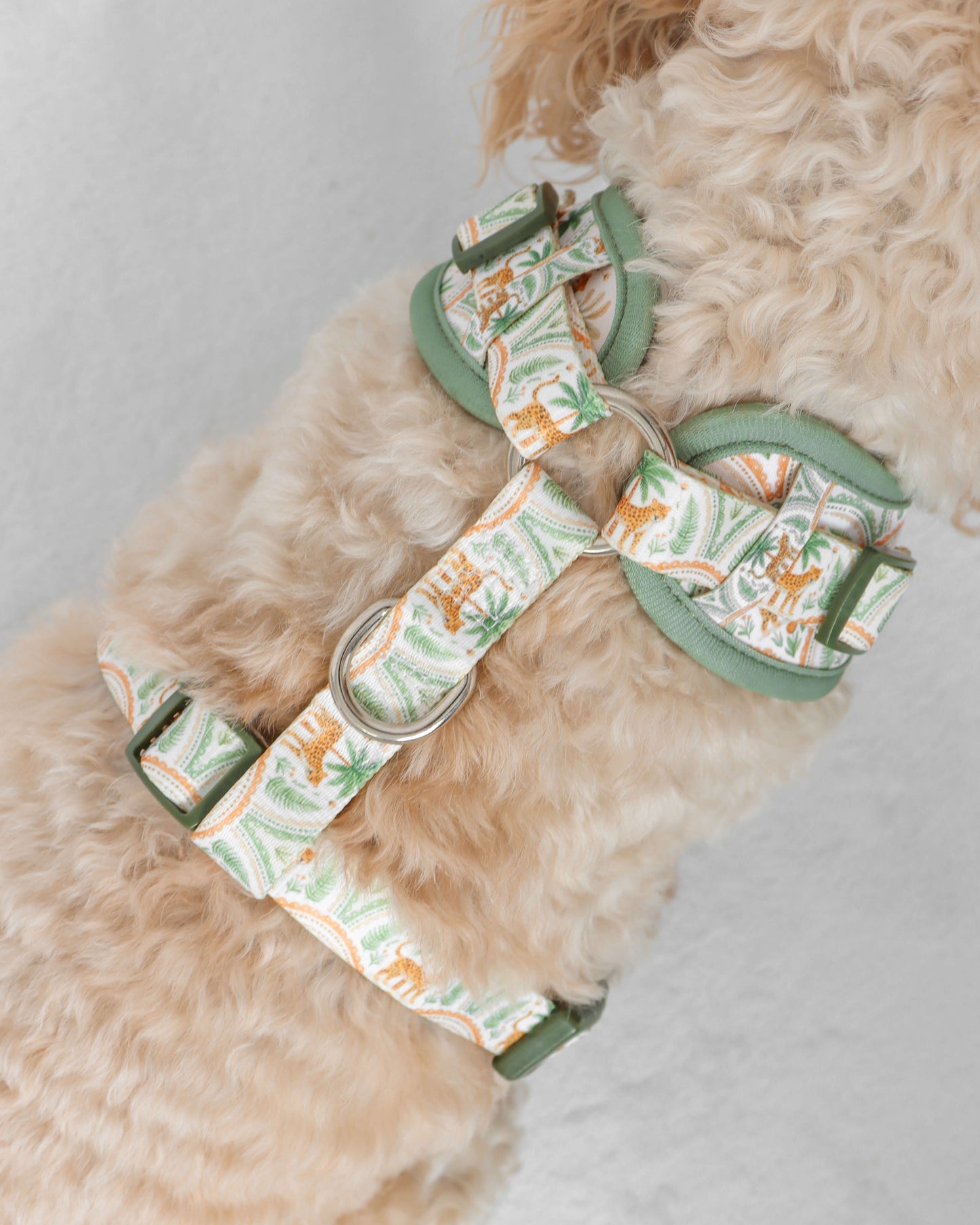 Adjustable Harness - Sage Safari