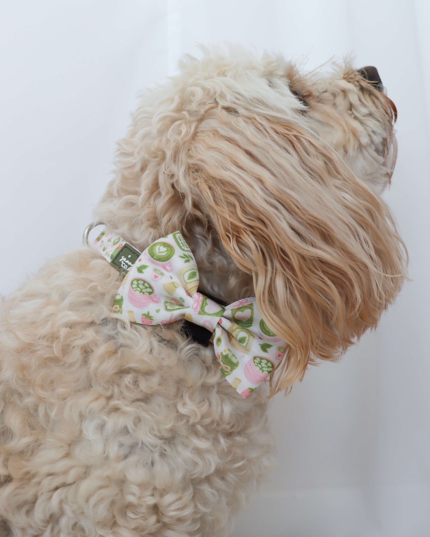 Bow Tie - Matcha Mood