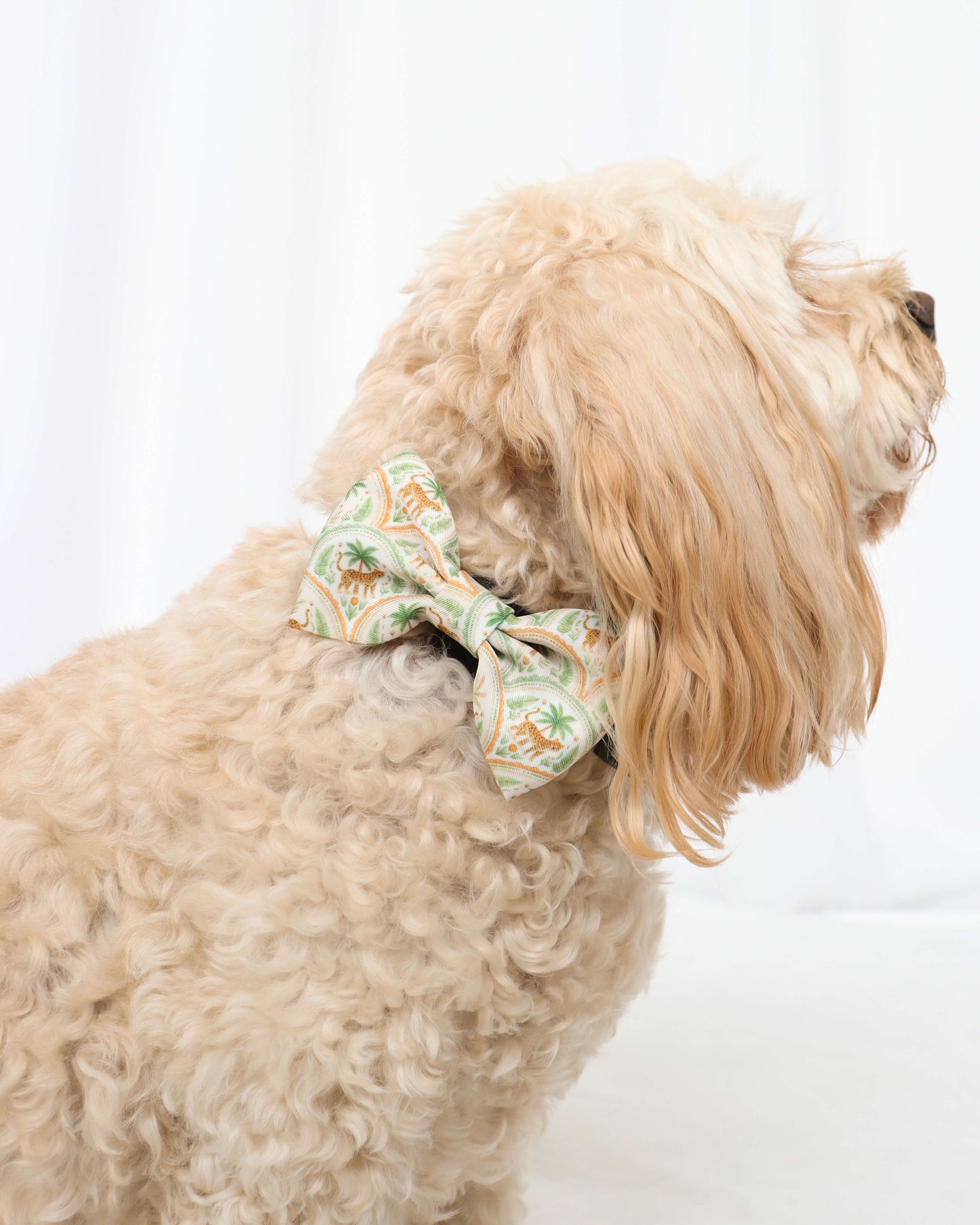 Bow Tie - Sage Safari