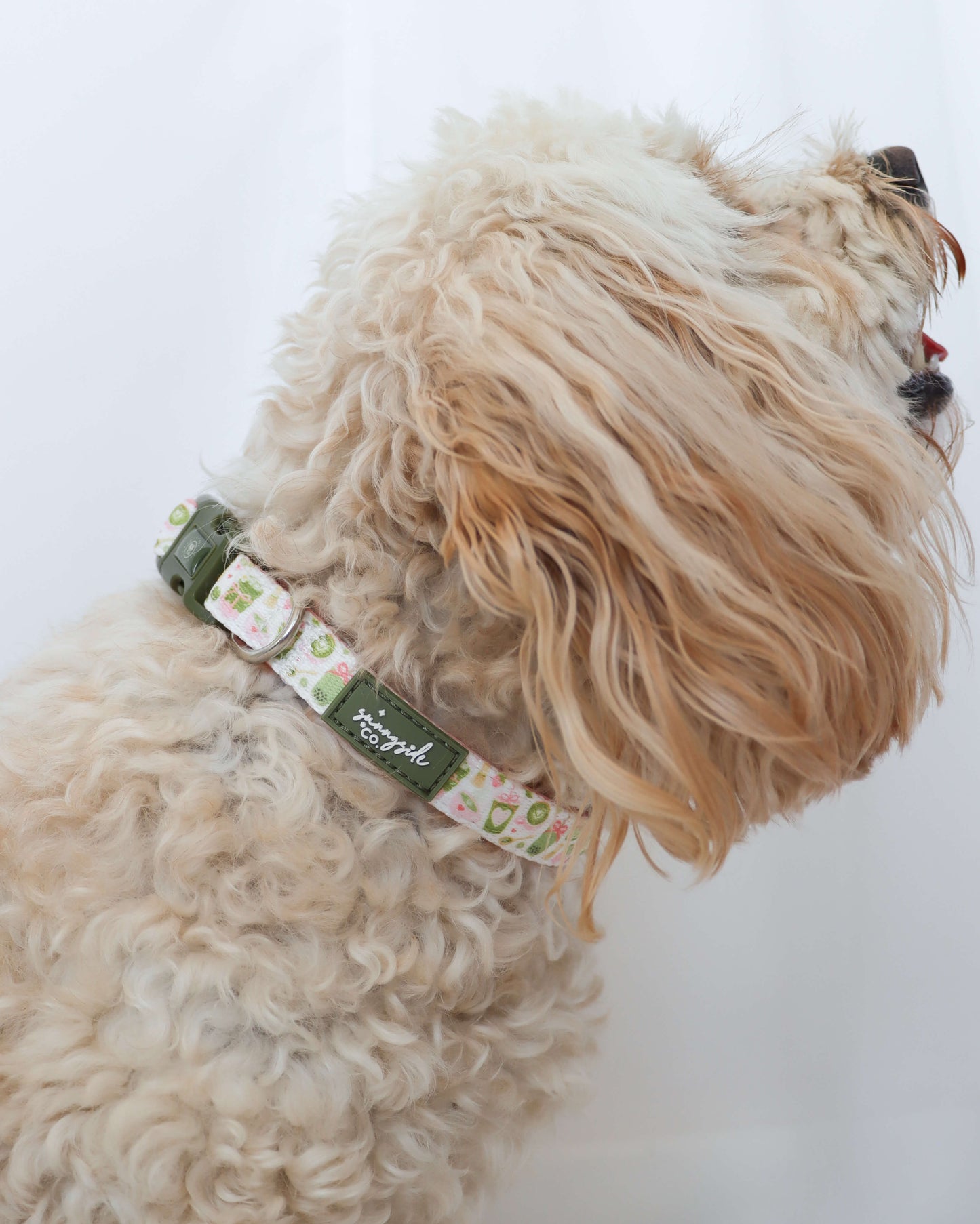 Collar - Matcha Mood