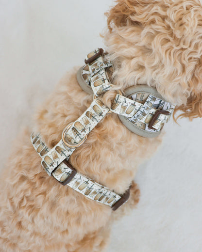 Adjustable Harness - Coffee Club