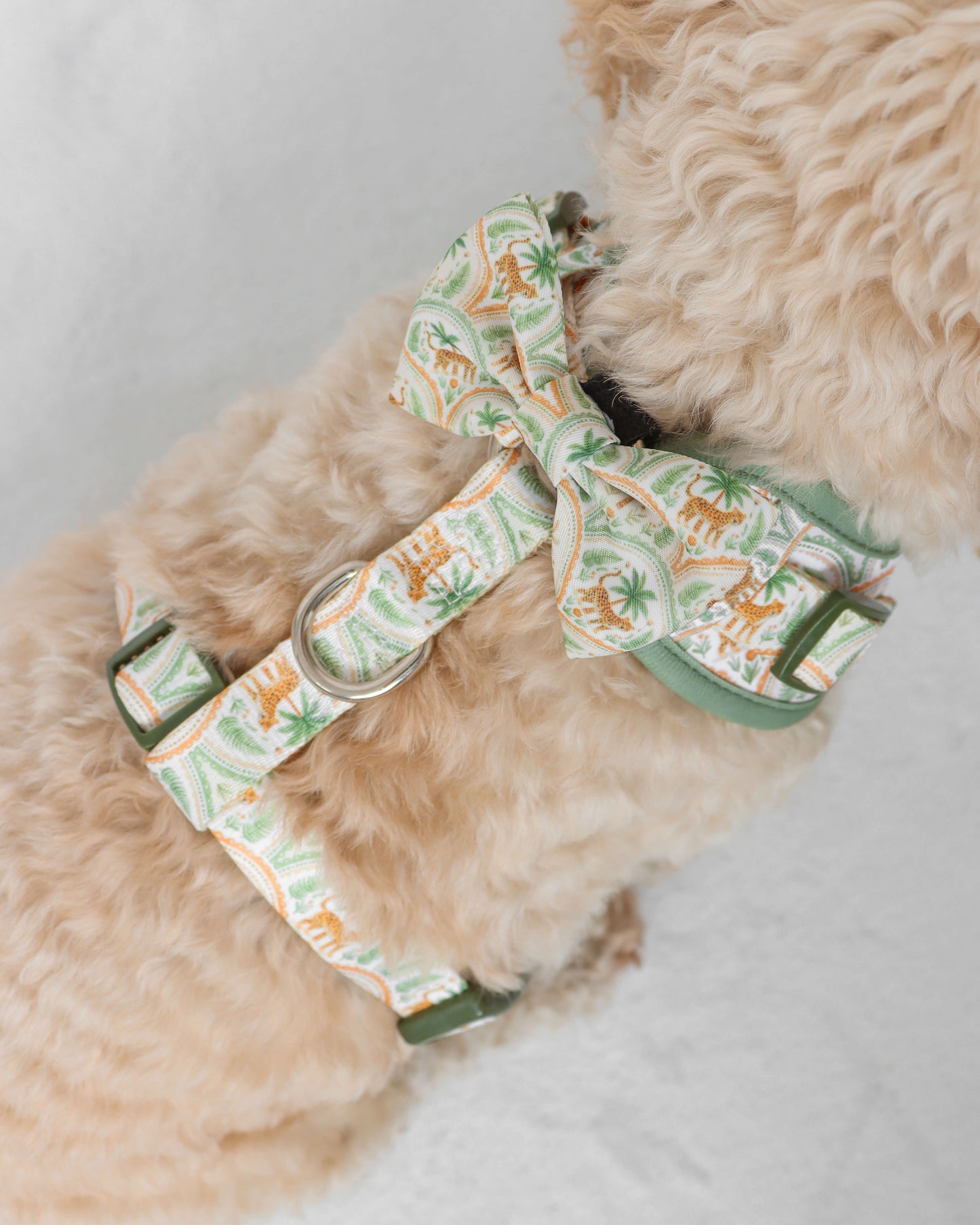 Bow Tie - Sage Safari
