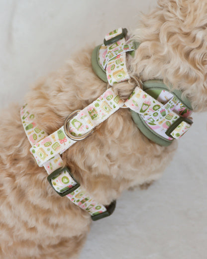 Adjustable Harness - Matcha Mood