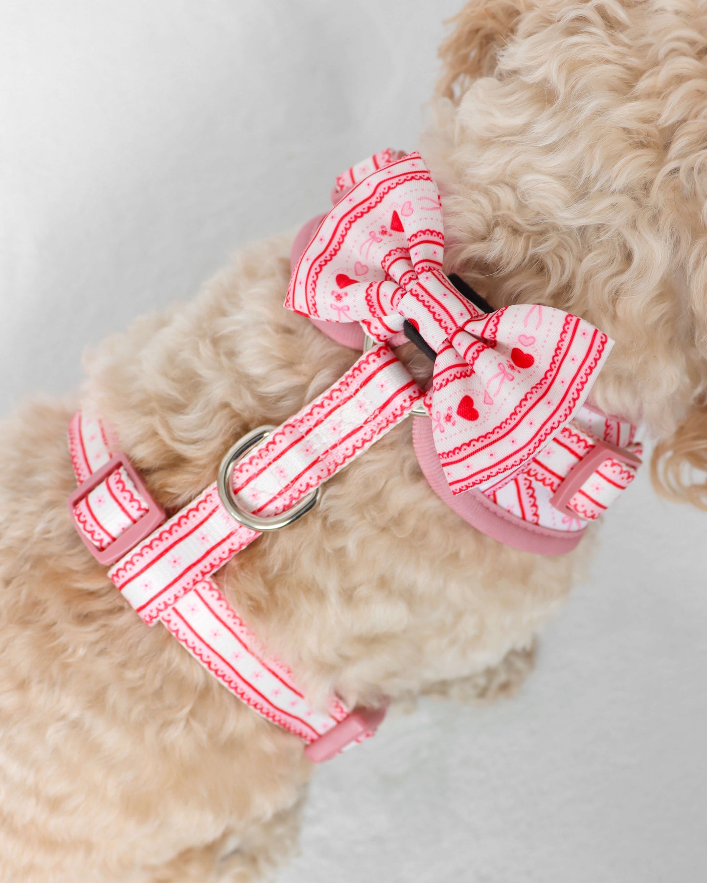 Bow Tie - Pretty Girl Avenue