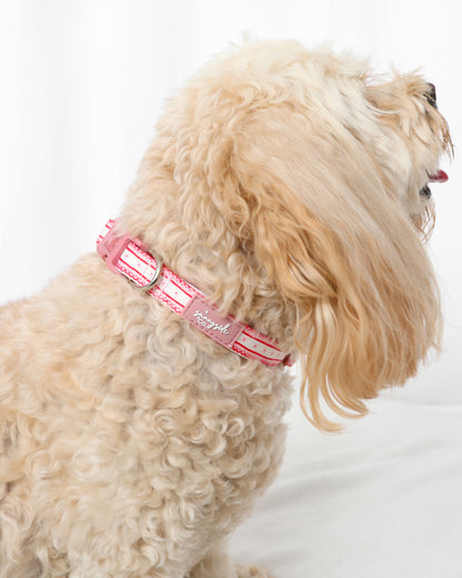 Collar - Pretty Girl Avenue