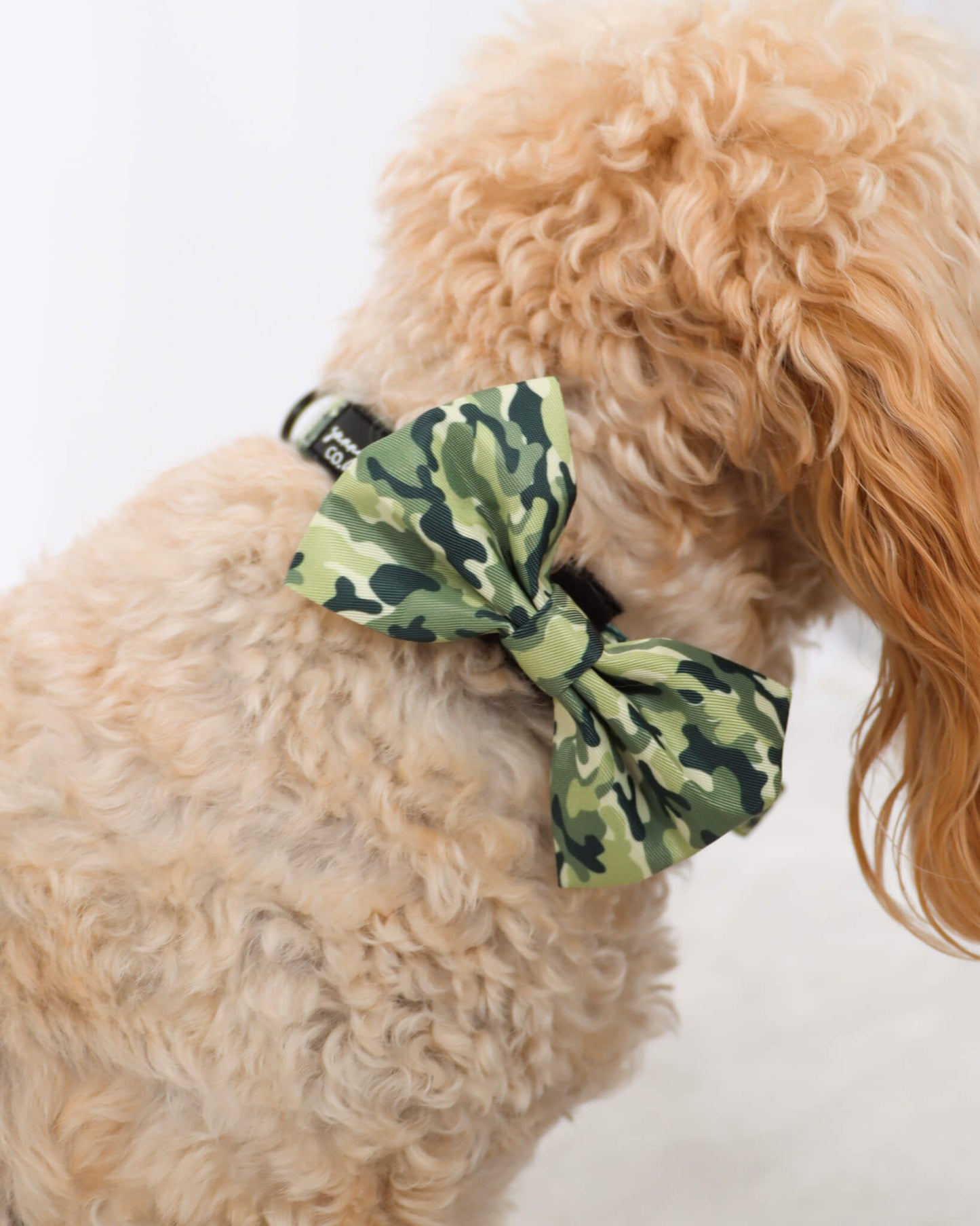 Bow Tie - Cool as Camo