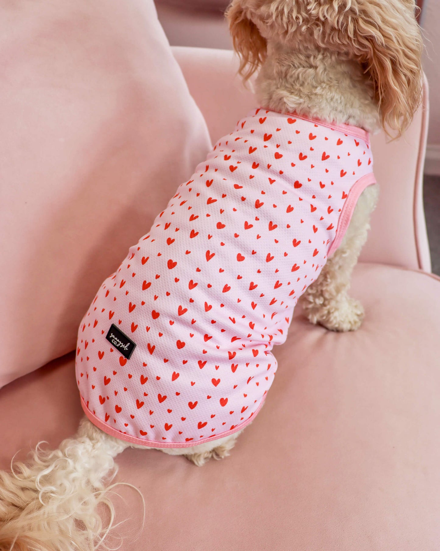 Dog Cooling Vest - Pretty in Pink