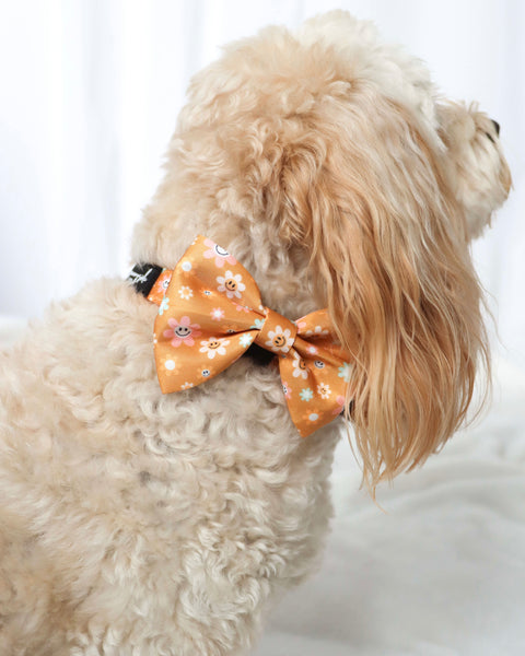 Bow Tie - Groovy Pup