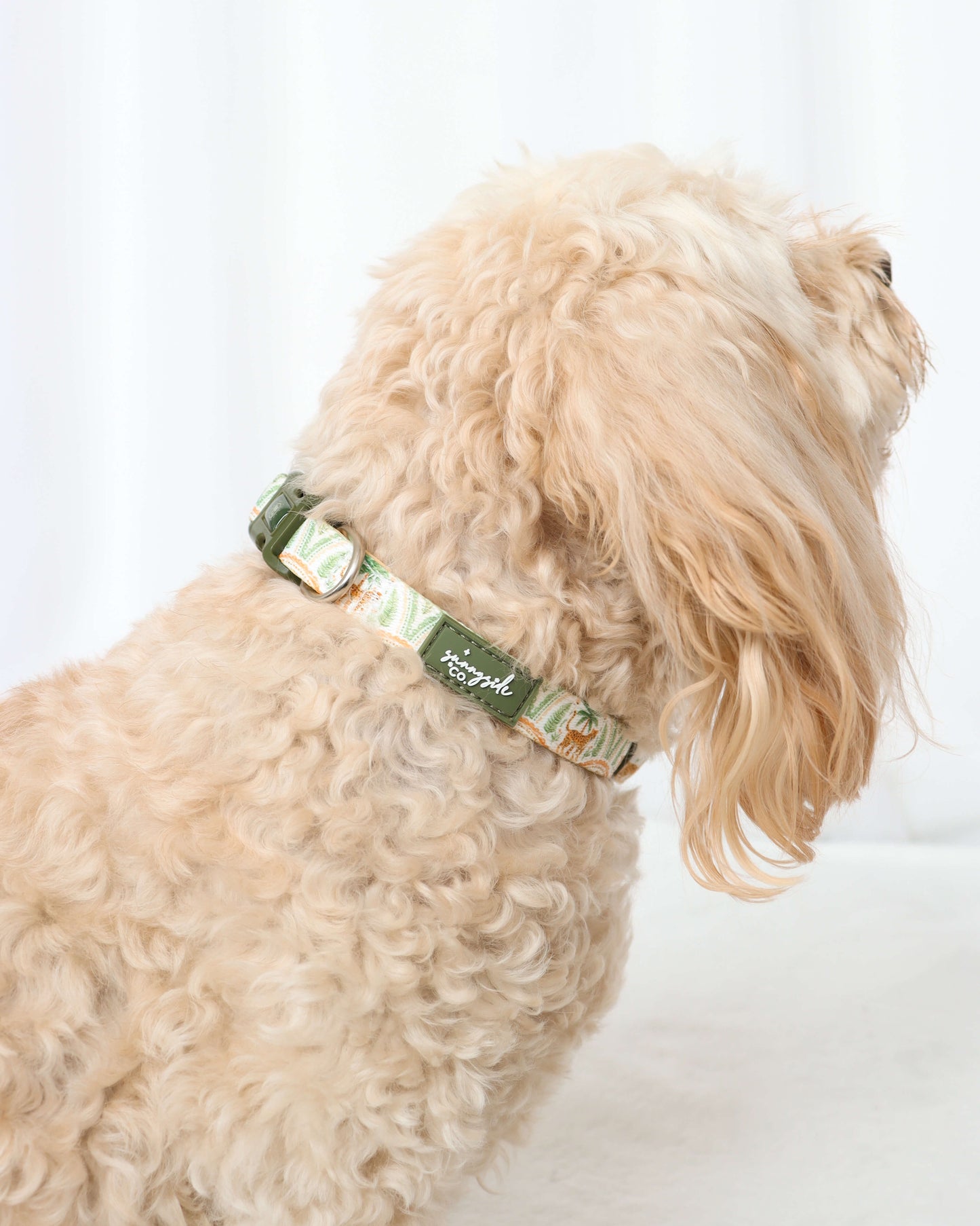 Collar - Sage Safari