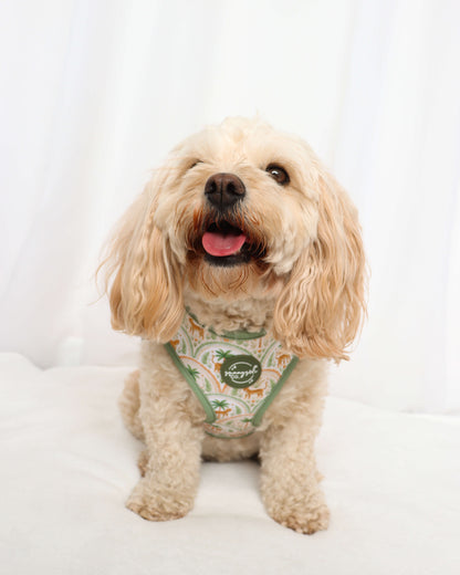 Adjustable Harness - Sage Safari