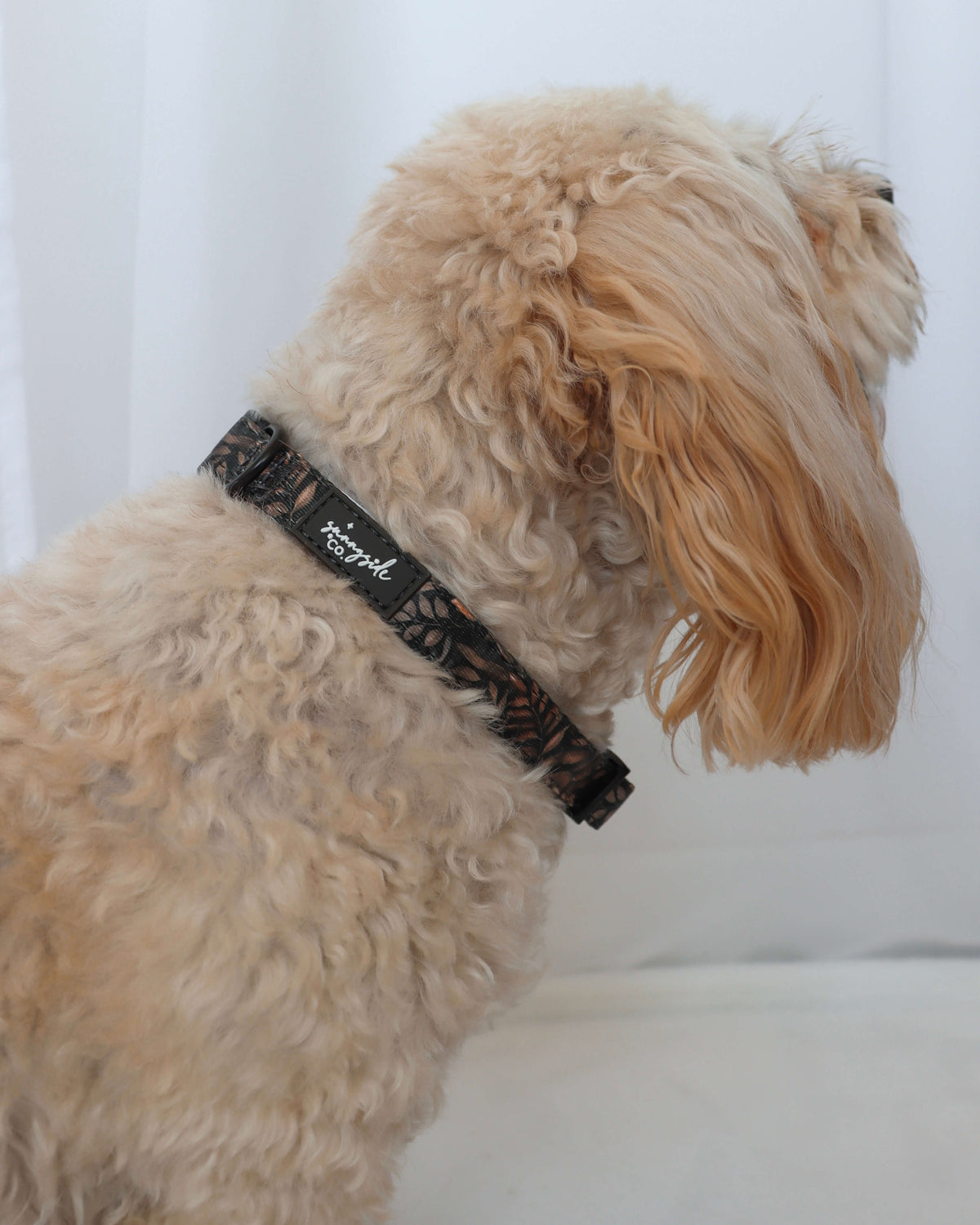 Collar - Love at First Crunch