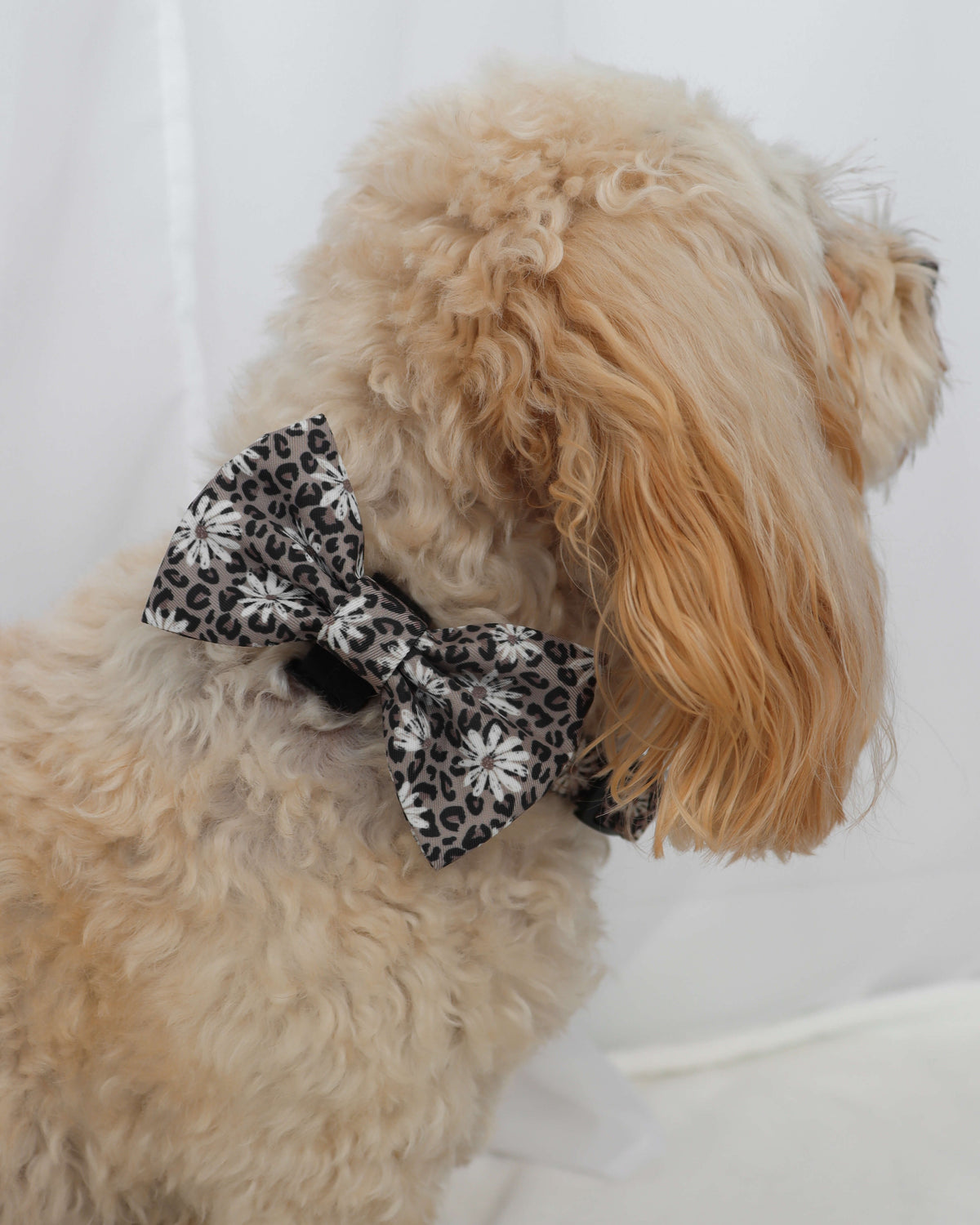 Bow Tie - Leopard in Bloom