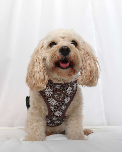 Adjustable Harness - Leopard in Bloom
