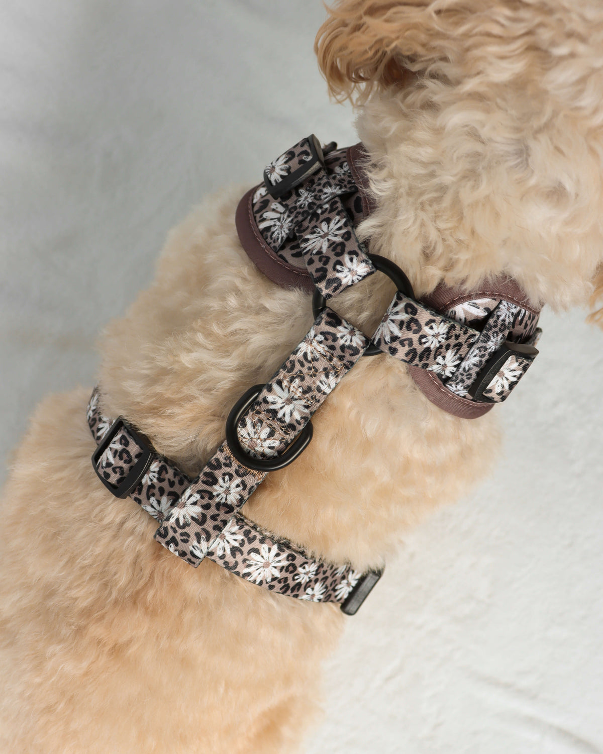 Adjustable Harness - Leopard in Bloom