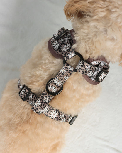 Adjustable Harness - Leopard in Bloom