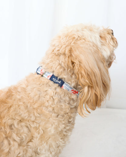 Collar - Snappy Days