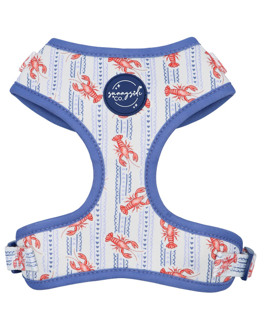 Adjustable Harness - Snappy Days