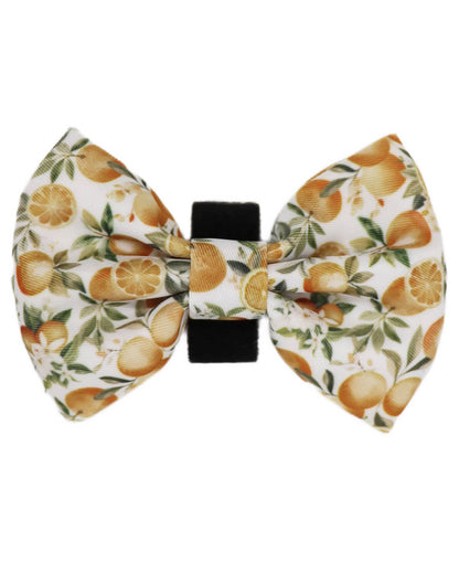 Bow Tie - Orange Blossom