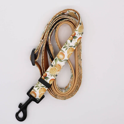 Adjustable Lead - Orange Blossom