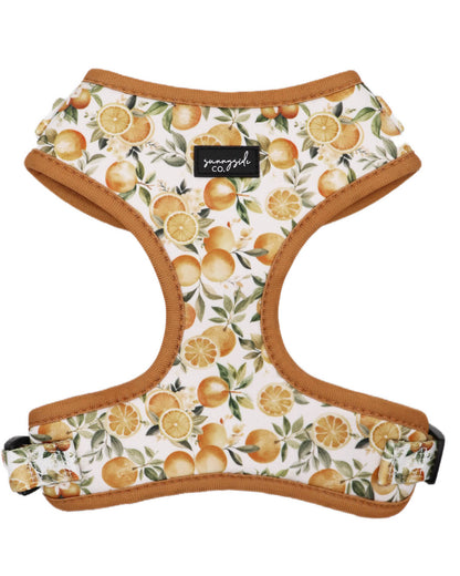 Adjustable Harness - Orange Blossom